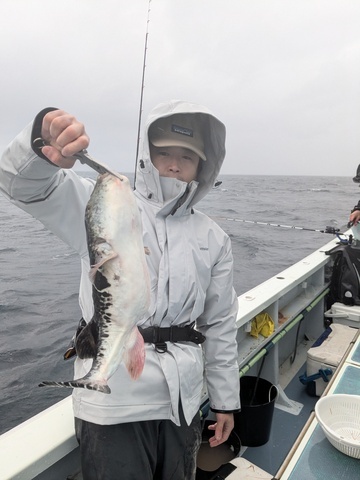 PXL_20250413_044550425.jpg